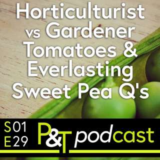 Young Horticulturist of the Year, Dividing Primulas, Everlasting Sweet Peas & Strawberry Update