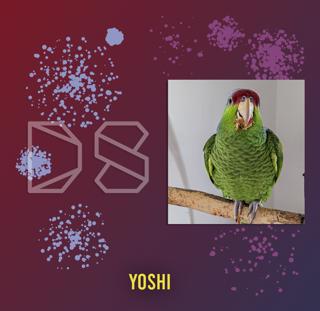 k-means Image Segmentation