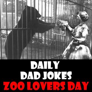 National Zoo Lovers Day! 17 dad jokes to monkey with! 08 April 2026