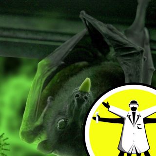 Where Did COVID Come From?