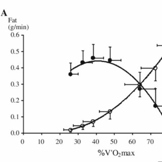 Watts Doc #33: Fats vs Carbs Part II - Carnitine and VLamax
