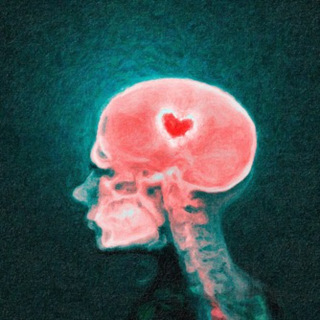 #179 - Brainsex og de som aldri blir forelsket