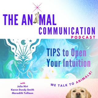 Tips to Open Your Intuition