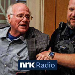 Iskrem-aktivistene: Ben & Jerry's Gaza-kamp