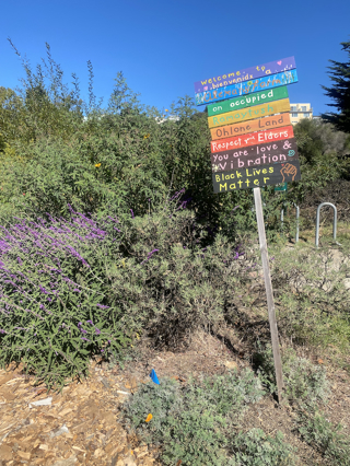 Alemany Farm, Part 1 (S5E4)