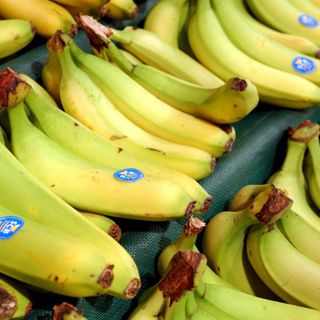If Tariffs Are So Great, Why Are There So Many Exemptions?