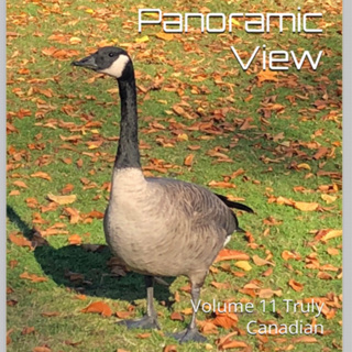 Panoramic View Volume 11 by Daniel Lucas