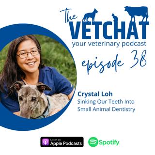 Sinking Our Teeth into Small Animal Dentistry with Dr. Crystal Loh