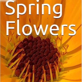 Spring Flowers Volume 5 Wild by Daniel Lucas