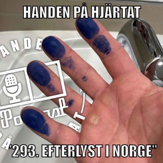 ”293. EFTERLYST I NORGE”