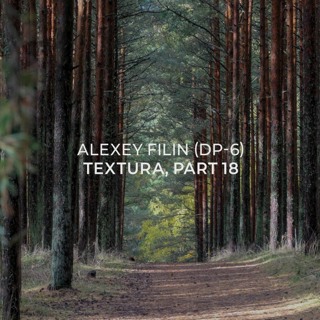 Alexey Filin (DP-6) - Textura, part 18