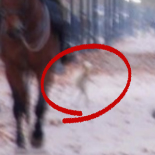 ET Captured in 2004 Photo from Chile/Trump to Release UFO Files “Soon”