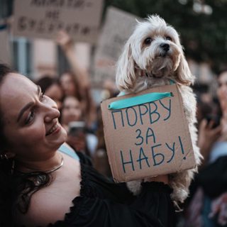 Как президент Зеленский перестал быть «сакральной фигурой»