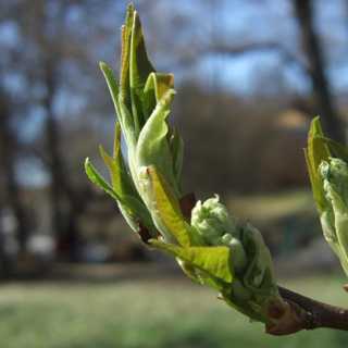 Hopp - motivation eller snuttefilt i en osäker tid?