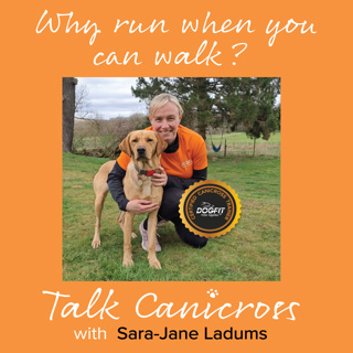 Why run when you can walk? Discover Canitrekking - A Hands-Free, Fitness-Friendly Way to Walk Your Dog