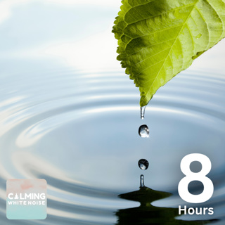 Rain on Leaf (8 Hours) | Lite Rain Sounds for Sleep and Relaxation