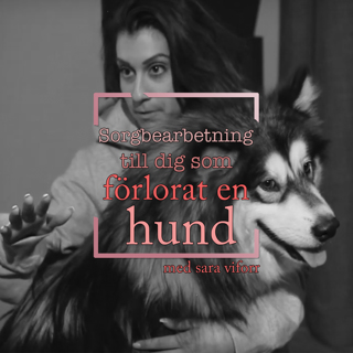 Sorgbearbetning till dig som har förlorat en hund