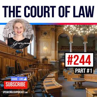 #244 The court of Law in the USA —Part 1