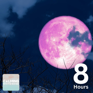 Tranquil Waterfall Sounds at Night (8 Hours) | Forest Ambience for Anxiety and Stress Relief
