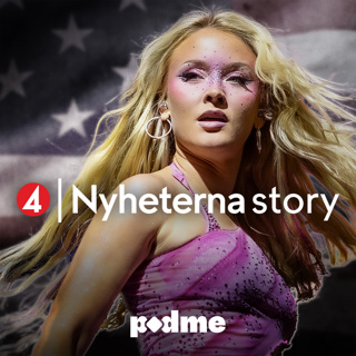 tv4-nyheterna-story