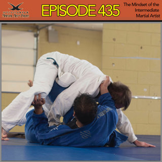Episode 435 - The Mindset of the Intermediate Martial Artist