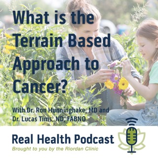 What is the Terrain Based Approach to Cancer?