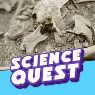 VAMPIRE MYSTERY: Archaeologists Examine a Strange Burialđ§ââïžđŠŽ