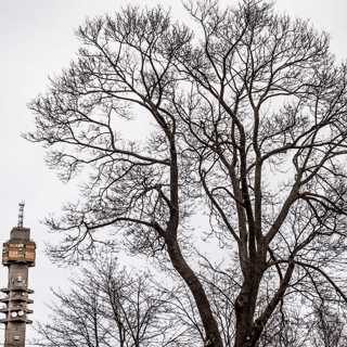 Nationalstadsparkens historia
