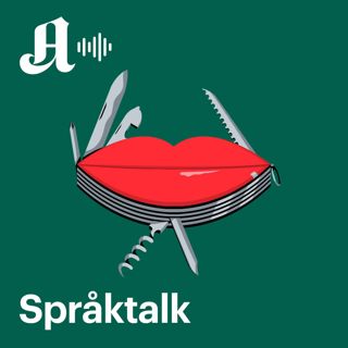 Stygge ord: Trenger vi dem?