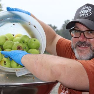 257: Courthouse Creek "Garagistes" | Building a Cidery Part 3