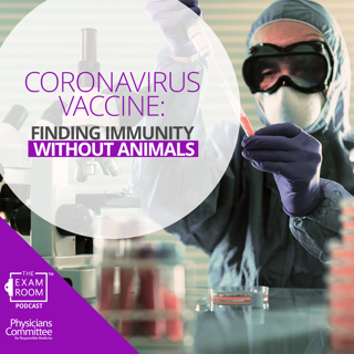 Coronavirus Vaccine: Finding Immunity Faster Without Animals
