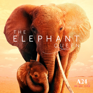 92. The Elephant Queen (2019) Film Review