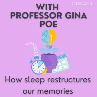 Episode 3: Gina Poe - How sleep restructures our memories and emotions