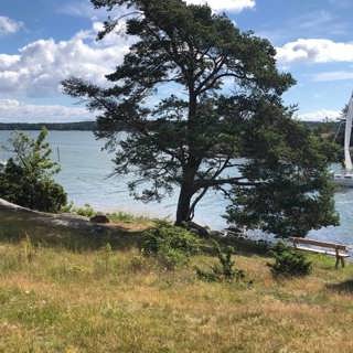 Storspiggens stadiga bobyggen och Stendörrens skärgårdsnatur.