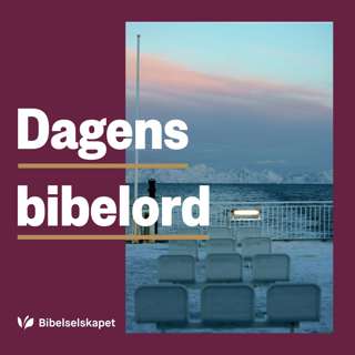Dagens bibelord 9. desember 2025 – Jak 5,7–11