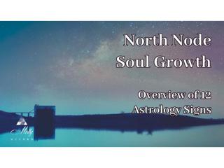 North North Soul Growth ~ Overview of All 12 Astrology Signs