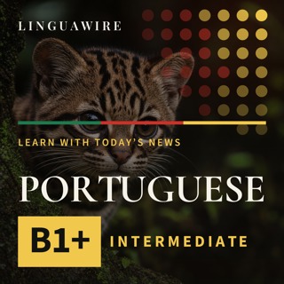 B1 European Portuguese News | New Cat Species Found After 100 Years