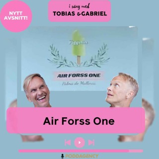 342. Air Forss One