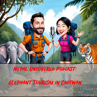 Giants of the Jungle: The Ethics of Elephant Tourism in Chitwan