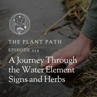 A Journey Through the Water Element Signs and Herbs