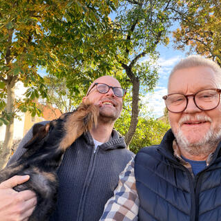 Skogsfredag #346 - q3-rapporter, knäckesjuka
