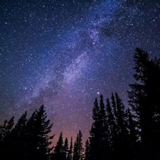 Are atoms, bacteria and plants conscious?