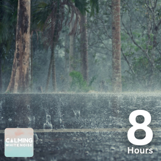 Rain Sounds for Sleep and Relaxation (8 Hours) | Heavy Rainstorm Sounds