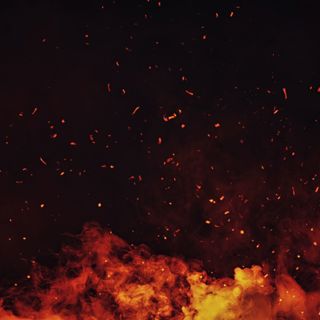 Episode 239
