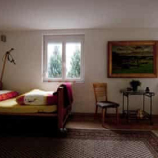 Episode 44 & 45: Dignitas - Assisted Dying in Switzerland 