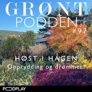 #97 Høst i hagen - opprydding og drømmer!