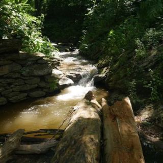 Majestic Woodland Stream - 10 Hours Sleep Sound
