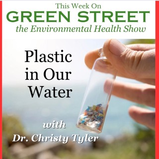 Plastic in Our Water with Dr. Christy Tyler