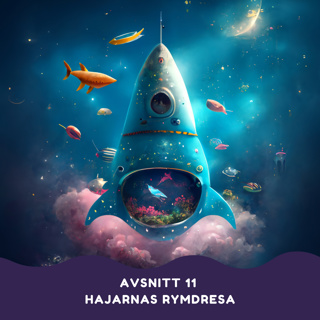 Hajarnas rymdresa