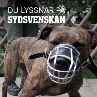 Är det dags att förbjuda vissa hundraser?